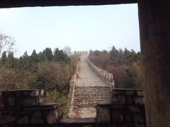 -原山国家森林公园