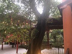 -顺风山庄(水濂山店)