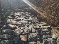 -北京鹫峰国家森林公园