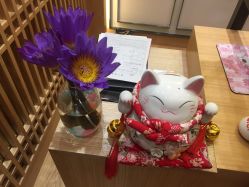 -一本X目奈子日式单根美睫专业店