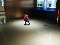 -上海昆虫博物馆