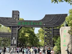 -溱湖国家湿地公园