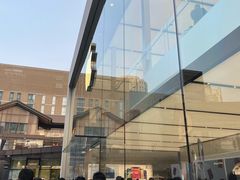 -Apple零售店(成都太古里店)