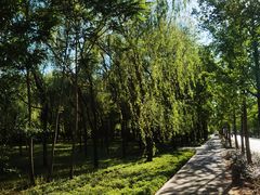 -野鸭湖国家湿地公园