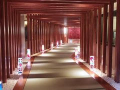 -重庆南山海昌汤都