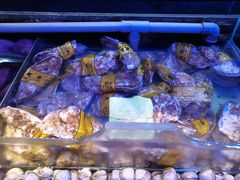 -盛江山自助料理(奥莱锦辉购物广场店)