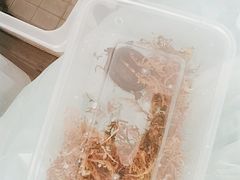 -灵龟之家百象馆(百象馆联合旗舰店)