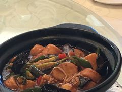 -金蝉食府(维吉奥广场店)
