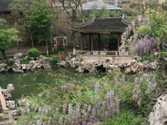 -芥子园