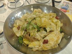 -丁老爷子苏香圆