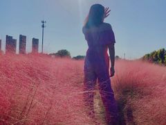 -映月湖中央公园