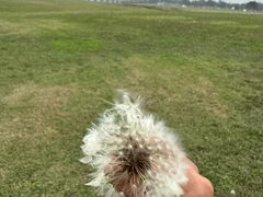 -阳澄湖半岛旅游度假区