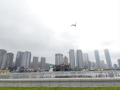 -星海广场