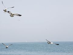 -大连海昌东方水城