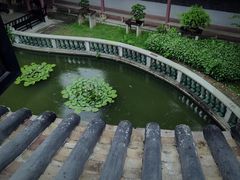 -碧江金楼
