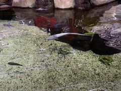 -鸿通城购物中心