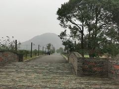-田园东方蜜桃村的田野营地