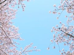-苏州上方山国家森林公园