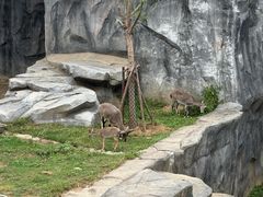 -武汉动物园