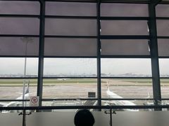 -虹桥机场国航贵宾室v8