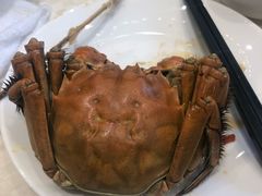 大闸蟹公蟹-双井轩(双井店)