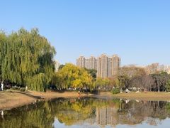 -堤角公园