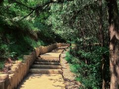 -北京西山国家森林公园