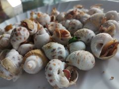 -七鲜渔港美食餐厅(巽寮湾海景店)