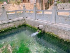 -四门塔风景区