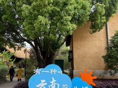 -云南民族村