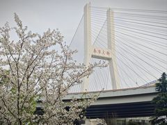 -南浦大桥长途旅游客运站