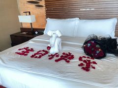 -海南清水湾莱佛士酒店