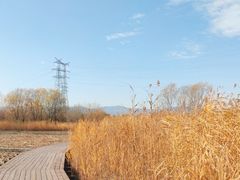 -永定河休闲森林公园