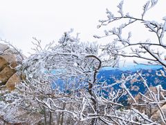 -崂山巨峰游览区