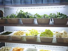 -0317火锅鸡·清真(正达店)