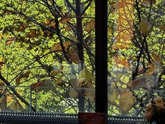 -棒约翰比萨·意面(金桥国际店)