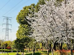 -外高桥保税区南(地铁站)