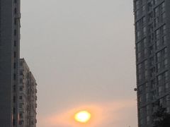 -新湖明珠城