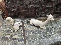 -上海大自然野生昆虫馆(东方明珠·爬宠昆虫探索中心)