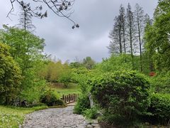 -宜兴龙背山森林公园