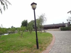 DSC08424-永定河休闲森林公园