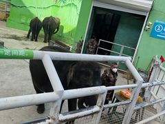 -大连森林动物园