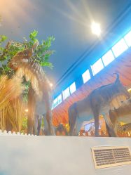 -卡通尼·Safari非洲探索乐园·生日会(金桥国际商业广场店)