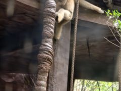 -长鹿旅游休博园