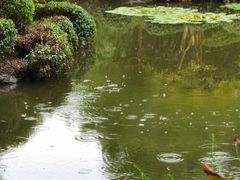 -秋霞圃