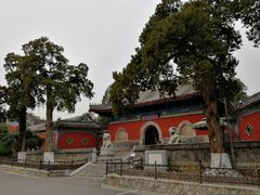 -大觉寺-停车场