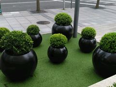 -同济大学四平路校区深海探索馆