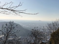 -惠山国家森林公园