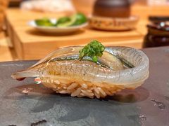 水针鱼-橼舍鮨青木