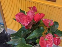 -安立路(地铁站)